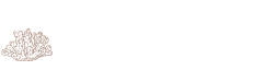 bayence-small Bayence