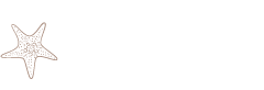 pelorus-small Pelorus