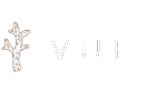 vue-small Vue
